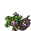 medusa